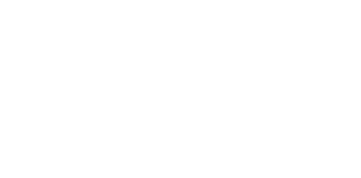 Cocktail Experience by BIRDY.